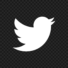Image result for twitter icon