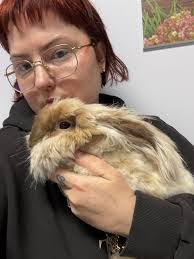 Tisha Hartman's Instagram, Twitter & Facebook