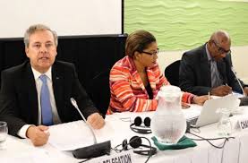 CARIFORUM DG implores consultation participants to propose practical  outcomes