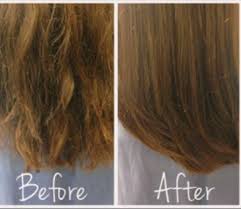 Split ends treatment & prevention: Repair Split Ends Overnight Hair Treatment Hair Remedies Hair Hacks