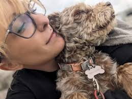 My kitty raven is missing, if you see her please call my 778-871-5918 or  even just take her to the Fraser heights animal hospital. Pure black,  tattooed, fixed, very soft and very