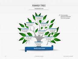 Family Tree Template Family Tree Template Amazon