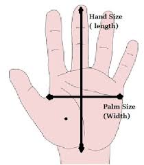 average hand size pata sauti