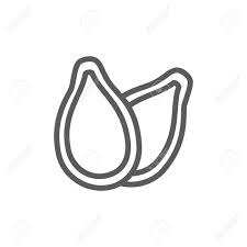 Black and white pumpkin seed. Vector Pumpkin Seeds Line Icon Symbol And Sign Illustration Royalty Free Cliparts Vectors And Stock Illustration Image 118039360