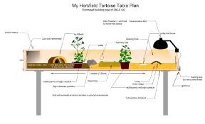More Info For Ethan And Phil To Look At While Building A Table Tortoise Table Tortoise Habitat Horsefield Tortoise