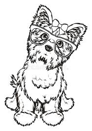 Whitepages is a residential phone book you can use to look up individuals. Paint Yorkie With A Gift Stock Illustration Illustration Of Cute 97905020