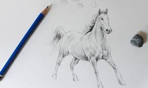 With the power of smart objects, your image will look as it's a real drawing made with a pencil.after finishing, How To Draw Horses And Goats Free Tutorials On Craftsy Craftsy