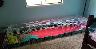 The canvas base is secured inside the cage. Cage Of The Wheek World Of Guinea Pigs