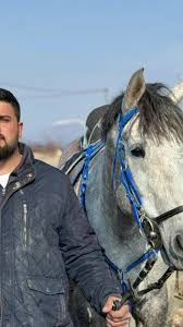 @KARABULUT_HAYVANCILIK @Okan Balcı @Ertuğrul Aksakal885 @Ramazan Altundağ  @bulent.altng44 @KRBLTEREN