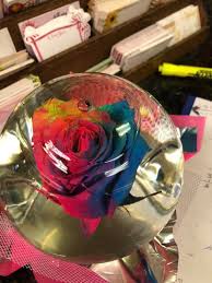 My husband bought me a forever rose in a globe in february just 4mths ago and there is slim growing on the the bottom petals, does anyone know if i can empty it and refill with. Rainbow Rose In A Water Globe Minnich Florists Of Weston Facebook