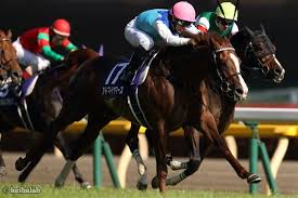 Nhk, which has always been known by this romanized initialism in japanese. ï½Žï½ˆï½‹ãƒžã‚¤ãƒ«ã‚«ãƒƒãƒ—ã®éŽåŽ»10å¹´ãƒ‡ãƒ¼ã‚¿ å¥½èµ°é¦¬ä¸€è¦§ 2019å¹´5æœˆ5æ—¥æ±äº¬11r ç«¶é¦¬ãƒ©ãƒœ