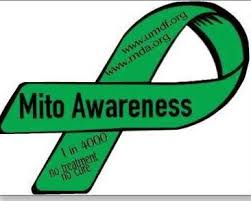 Mito Awareness Green Ribbon Mitochondrial Disease Awareness Disease Awareness Mitochondrial Disease