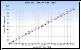 tramadol for dogs usage dosage side effects