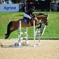 CHAMPIONSHIPS - Winter Show Jumping event image