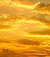 Yellow Sky By Ana Pontes Photography Yellow Aesthetic Yellow Sky Shades Of Yellow