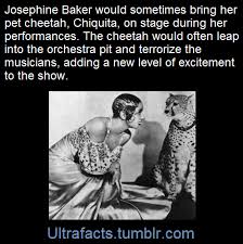 She also walked her pet cheetah down the streets of paris, had a goat in her dressing room and a pig living in her night club kitchen. Ultrafacts Tumblr Com Josephine Baker Was An American Born French