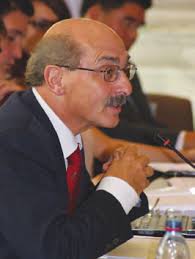 THE WORLD BUSINESS ORGANIZATION in 2013