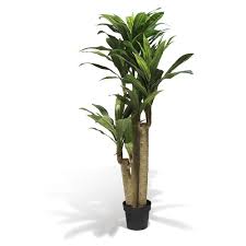 Dragonnier Artificiel 155 Cm Vase Et Plante Artificielle Objet Decoratif Decoration Gifi