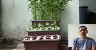 Mikihydroverticalplant projek diy di rumah kali ini saya akan kongsikan cara membuat hidroponik takung jenis gantung. Video Remaja Ini Tunjuk Cara Buat Bekas Hidroponik Dari Pasu Daiso Rm 5 00 Impiana
