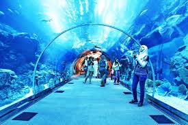 Dubai Mall Aquarium Designrulz 7 Dubai Aquarium Cool Places To Visit Places To Visit