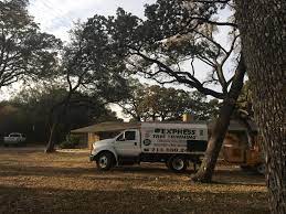 We did not find results for: Express Tree Trimming Reviews Dallas Tx Angi Angie S List