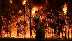 Latest bushfire alerts and warnings, firefighting and emergency workers, fire destroyed bushfire news alerts. Bushfire News Alerts 9news