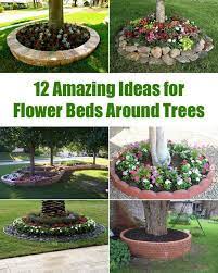 Flowers play a strong role in this by providing pops of color that the eye naturally spots and follows. Pin On Landscaping Around Trees