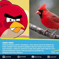 Who S On Top Ini Dia 5 Karakter Hewan Animasi Yang ÙÙŠØ³Ø¨ÙˆÙƒ