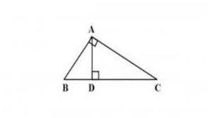 Nah, karena disini saya sudah menggunakan password, maka tulisan yang muncul adalah change the password. Kunci Jawaban Soal Latihan Ulangan Matematika Atau Uas Pas Kelas 9 Smp Semester 1 Tahun 2020 Halaman All Tribunnews Com