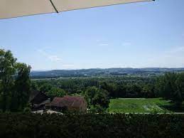 weinberg bild von weinberg warth tripadvisor