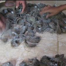 For more information and source, see on this link : Lagi Kes Curi Sarang Burung Layang Layang Madai Kunak
