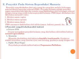 Sistem Reproduksi Pada Manusia Ppt Download