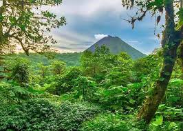 Kostarika: Zelené srdce Strednej Ameriky – dobrodružstvo v džungli