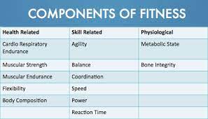 Everything you need to know about apple watch, fitbit, wearables, fitness trackers, and health apps. 6 Health Related Components Of Fitness Iriinc