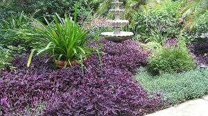 See more ideas about flowers hummingbirds like, 15 flowers, hummingbird plants. Brandies With The Right Plants You Can Attract Hummingbirds