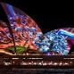 VIVID SYDNEY & LION KING THE MUSICAL