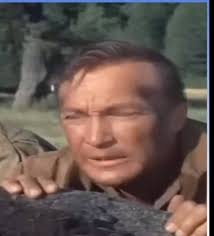 Walt Davis roles in Combat! and Hawaii 5-0