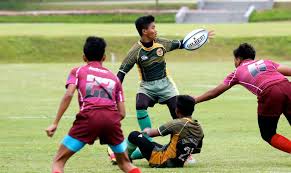 Susannah Muller (@SusannahMuller)