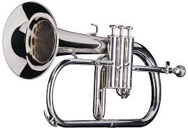 Flugel Horn Brass Instrument Brass Instruments Musical Instruments