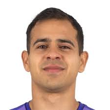 Walter Araujo EA FC 25 Ratings, Prices, and Cards