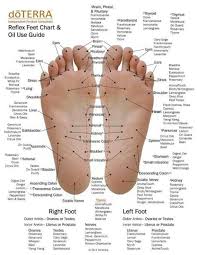 Essential Oils Foot Reflexology Application Chart