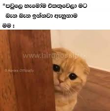 Maybe you would like to learn more about one of these? à¶š à¶» à¶±à¶­ à¶‰à·€à¶»à¶º à¶¯ à·à¶´ à¶½à¶±à¶ºà¶­ à·ƒ à¶® à·€à¶»à¶º à¶¯ à¶± à·€à¶­ à¶'à¶±à·€à¶¯ à·ƒ à¶¯ à¶š à¶š à¶šà¶š à¶œà·„à¶± à¶± à¶­ à·€ à¶¢ à¶­ à¶š à¶½ à¶º à·ƒ à¶­ à·€ à¶± à¶¶à¶³ à¶± à¶± à¶¶ à¶» à·€ à¶º à¶¯ à¶¸ à¶­ à·€à¶»à¶« à¶‹à¶« à·ƒ à¶¸à¶­ à¶'à¶š à¶š