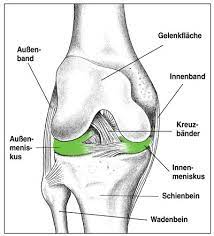 Riss inneres seitenband im mrt. Seitenbandverletzungen Des Knies Ortho Clinics Webseite