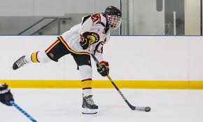 Player sticks | true hockey. Five Things To Remember When Buying A Hockey Stick