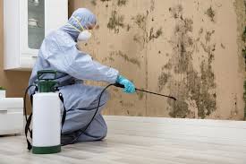 Mold Remediation in Atlanta, GA | Nelson Roofing