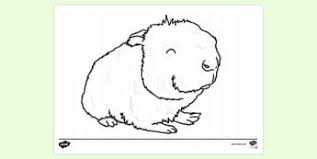 Some of the coloring page names are guinea pig mating coloring color luna, lovely pets coloring for kids coloring for kids on, guinea pigs colouring kids puzzles and games, guinea pig colouring kids puzzles and games, cute baby guinea pig coloring color luna, guinea pig animals coloring color luna, guinea pig sitting coloring color. Free Printable Guinea Pig Colouring Colouring Sheets
