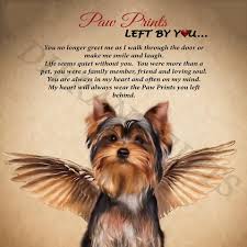 Yorkie Watermark Jpg 957 957 Angel Paw Print Yorkie Dogs Yorkie