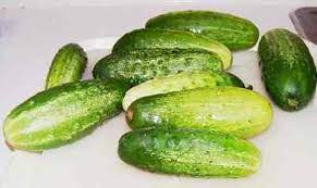 Do people pickle on their own, or buy? Faqs Answers To Common Questions About Home Pickling Cucumbers And Other Vegetables And Fruit