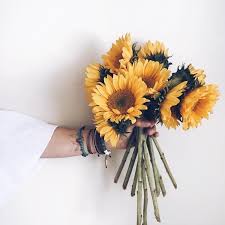 Pin By Odys On Flowers Hufflepuff Aesthetic Beautiful Flowers Yellow Aesthetic