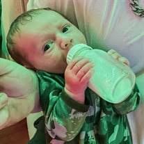 Jaylen Tucker Lee Bradley Obituary (2023)